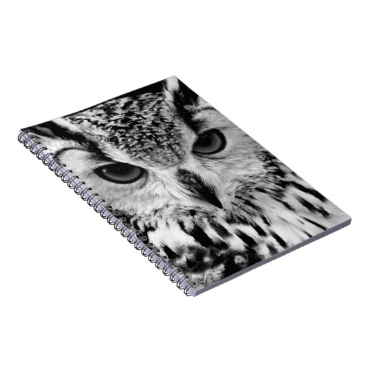 欧亜のワシフクロウのポートレートの上で閉めて下さい ノートブック (右側)