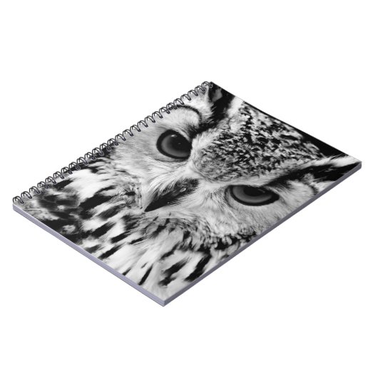 欧亜のワシフクロウのポートレートの上で閉めて下さい ノートブック (左側)