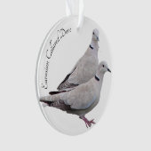 欧亜混血人によって襟首をつかまれる鳩 オーナメント (正面)