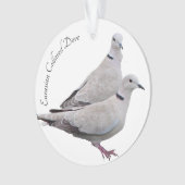 欧亜混血人によって襟首をつかまれる鳩 オーナメント (正面)