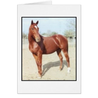 欧州共同体の夢