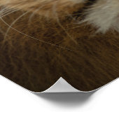 欲しい物を手に入れよう – やる気を起こさせる Lion ポスター (角)