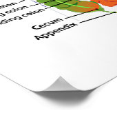 欲しい：内臓（解剖学的な内臓）で満たされた世界 ポスター (角)