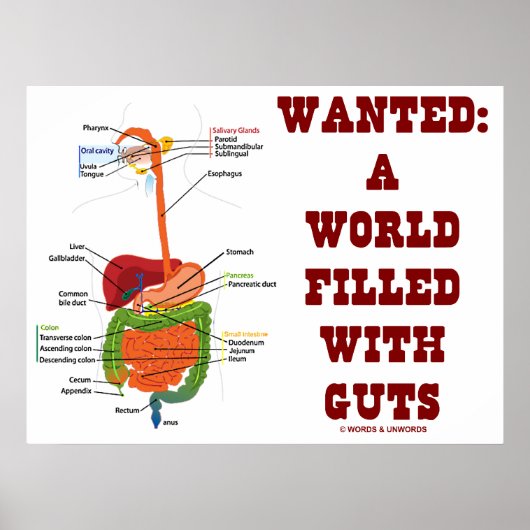 欲しい：内臓（解剖学的な内臓）で満たされた世界 ポスター (正面)