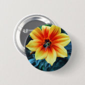 『欲張り（昆虫）マルハナバチ』 缶バッジ (正面&裏面)