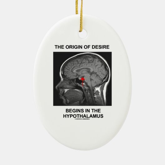 欲求の起源は視床下部で始まります セラミックオーナメント (裏面)