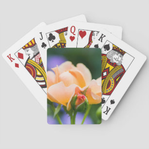 欲求の遊カード トランプ