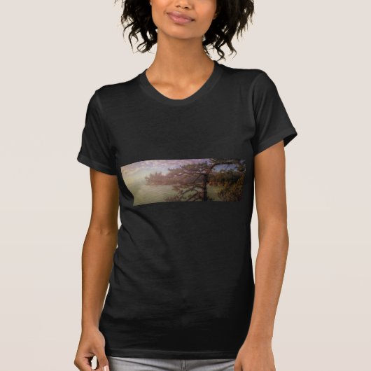 欺瞞パスの眺め Tシャツ (正面)