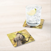 歌うグレーのキャットバードコースター スクエアペーパーコースター (インサイチュ)