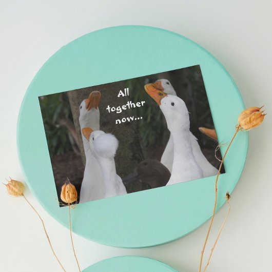 歌うダックの写真 面白い誕生日カード カード