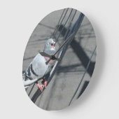 歌うハト ラージ壁時計 (傾斜)