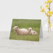 歌うヒツジ カード (黄色い花)