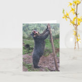 歌うブブノテカード カード (黄色い花)