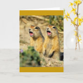 歌うプレーリードッグ カード (黄色い花)