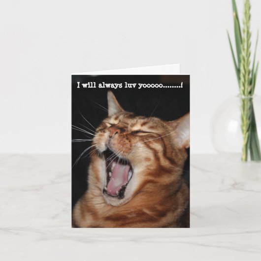 歌うベンガル猫「いつだって愛してるよ~」 シーズンカード (正面)