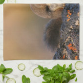 歌うリス キッチンタオル (折り畳み)