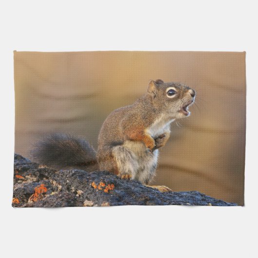歌うリス キッチンタオル (横)