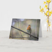 歌うロビン カード (黄色い花)