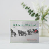 歌う犬ぞり:アラスカのマラムート合唱団 ポストカード (スタンド正面)