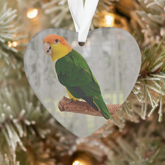 歌う白いベラドカイケパロット オーナメント (ツリー)