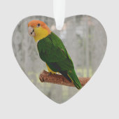 歌う白いベラドカイケパロット オーナメント (正面)