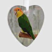 歌う白いベラドカイケパロット オーナメント (正面)