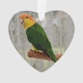 歌う白いベラドカイケパロット オーナメント (裏面)