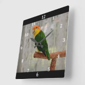 歌う白いベラドカイケパロット スクエア壁時計 (傾斜)