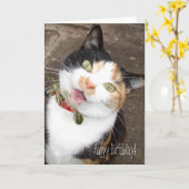 歌う虎猫ハッピーバースデー! カード (黄色い花)