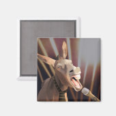 歌おもしろいうドンキーファーム動物 マグネット (正面/裏面)