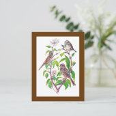 歌のスズメ、かわいい鳥、自然、野生動物 ポストカード (スタンド正面)