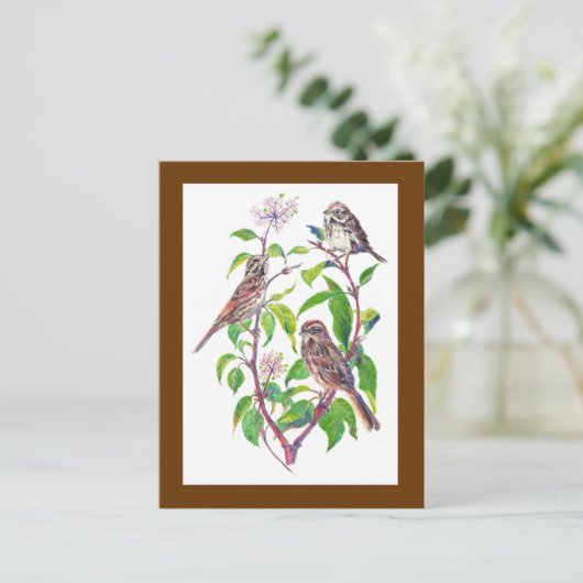 歌のスズメ、かわいい鳥、自然、野生動物 ポストカード (スタンド正面)