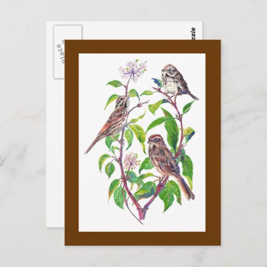 歌のスズメ、かわいい鳥、自然、野生動物 ポストカード (正面/裏面)