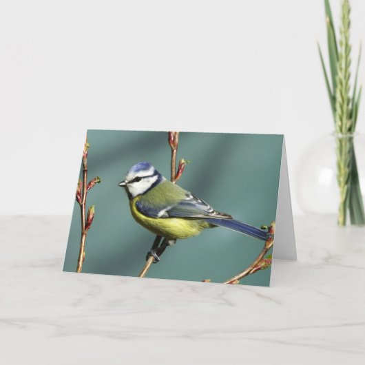 歌の鳥 カード (正面)