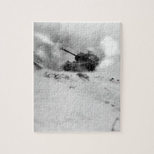 歌のSilリチウムの近く、韓国の第6 _Warイメージのタンク ジグソーパズル (縦)