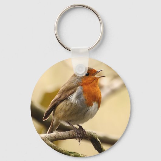 歌ロビン キーホルダー (正面)