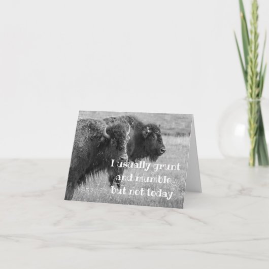 歌唱バッファロー***ハッピーバースデー*** カード (正面)