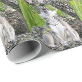 歌唱レムールラッピング紙 ラッピングペーパー (ロールコーナー)