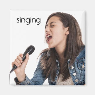 歌唱用冷凍機マグネット マグネット