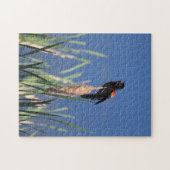 歌唱赤羽ブラックバードパズル ジグソーパズル (横)