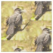 歌声灰色の猫織物 ファブリック (クローズアップ)