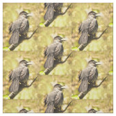 歌声灰色の猫織物 ファブリック (見本)