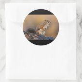 歌声 ラウンドシール (バッグ)