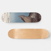 歌川広重 – 深川須崎・十万坪 スケートボード (横)