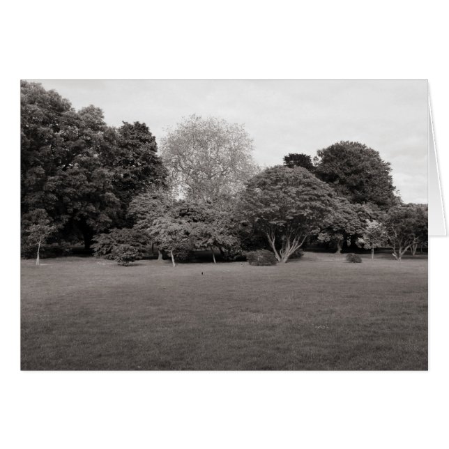 歓喜のために2つ（暖かいトーンBW） (正面横)