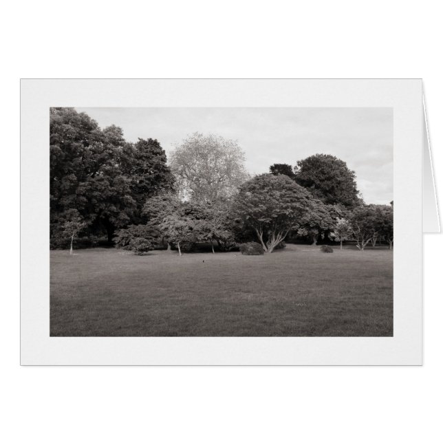 歓喜のための2 (暖かいトーンBW縁ど) (正面横)