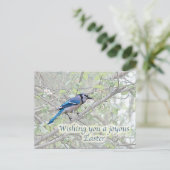 歓喜のイースターブルージェイSongbird シーズンポストカード (スタンド正面)