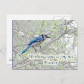 歓喜のイースターブルージェイSongbird シーズンポストカード (正面/裏面)
