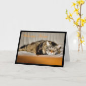 歓迎された家。 嬉しい再度家です。 猫の子猫 カード (黄色い花)