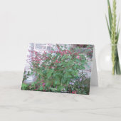 歓迎するポーチ、ホスピタリティ サンキューカード (裏面)